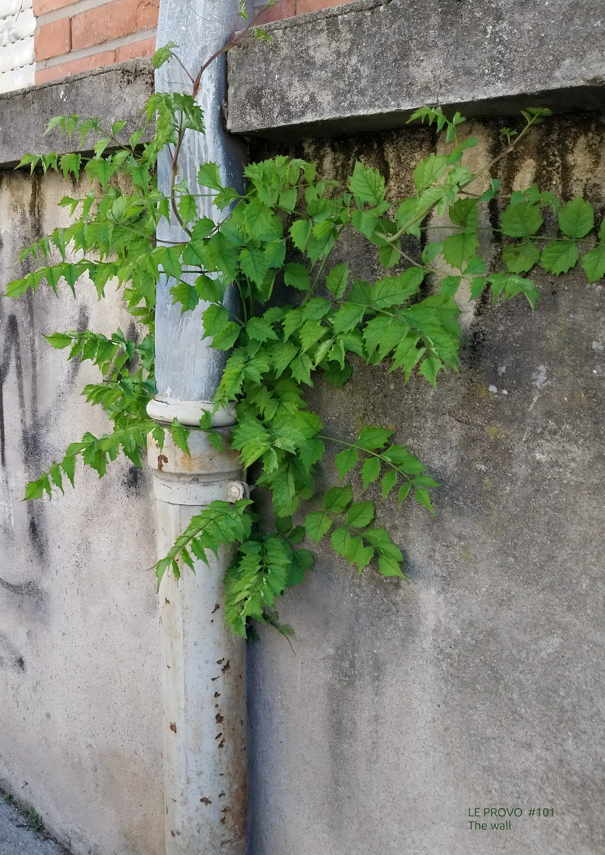 Le mur